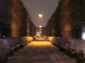 1.Adventsfenster in der Antonstadt-bei Erni mit anschließendem Nachtspaziergang von der Kamenzer Str.zum Freiraum Elbtal-Pieschen