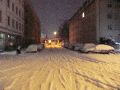 1.Adventsfenster in der Antonstadt-bei Erni mit anschließendem Nachtspaziergang von der Kamenzer Str.zum Freiraum Elbtal-Pieschen
