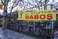 Geschäfte an der Alaunen Str.vom Albert Platz bis Kreuzung Louisen Str