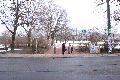 Geschäfte an der Alaunen Str.vom Albert Platz bis Kreuzung Louisen Str