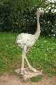 Tiere, 2008