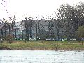 Spaziergang über Marienbrücke ins Ostragehege