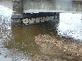 Spaziergang über Marienbrücke ins Ostragehege