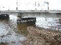 Spaziergang über Marienbrücke ins Ostragehege