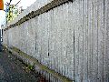 Spaziergang über Marienbrücke ins Ostragehege