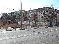 Spaziergang über Marienbrücke ins Ostragehege