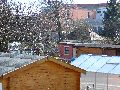 Spaziergang über Marienbrücke ins Ostragehege
