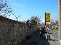 Spaziergang über Marienbrücke ins Ostragehege
