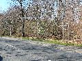 Spaziergang über Marienbrücke ins Ostragehege