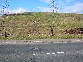 Spaziergang über Marienbrücke ins Ostragehege