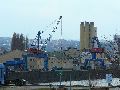 Spaziergang über Marienbrücke ins Ostragehege