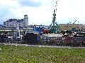 Spaziergang über Marienbrücke ins Ostragehege