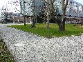 Spaziergang über Marienbrücke ins Ostragehege