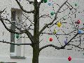 Spaziergang über Marienbrücke ins Ostragehege