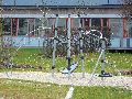 Spaziergang über Marienbrücke ins Ostragehege