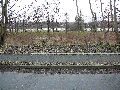 Spaziergang über Marienbrücke ins Ostragehege