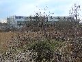 Spaziergang über Marienbrücke ins Ostragehege