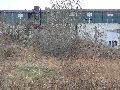 Spaziergang über Marienbrücke ins Ostragehege