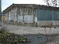 Spaziergang über Marienbrücke ins Ostragehege