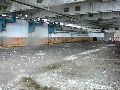 Spaziergang über Marienbrücke ins Ostragehege