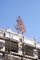 Neubauten Baustellen, 2008-2009