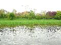 Elbfahrt mit dem Raddampfer Leipzig, und einem Kapitel Waldschlösschen Brückenbaustelle