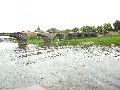 Elbfahrt mit dem Raddampfer Leipzig, und einem Kapitel Waldschlösschen Brückenbaustelle