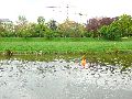 Elbfahrt mit dem Raddampfer Leipzig, und einem Kapitel Waldschlösschen Brückenbaustelle