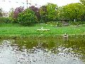 Elbfahrt mit dem Raddampfer Leipzig, und einem Kapitel Waldschlösschen Brückenbaustelle