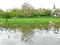 Elbfahrt mit dem Raddampfer Leipzig, und einem Kapitel Waldschlösschen Brückenbaustelle