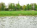 Elbfahrt mit dem Raddampfer Leipzig, und einem Kapitel Waldschlösschen Brückenbaustelle