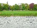 Elbfahrt mit dem Raddampfer Leipzig, und einem Kapitel Waldschlösschen Brückenbaustelle