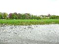 Elbfahrt mit dem Raddampfer Leipzig, und einem Kapitel Waldschlösschen Brückenbaustelle