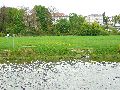 Elbfahrt mit dem Raddampfer Leipzig, und einem Kapitel Waldschlösschen Brückenbaustelle