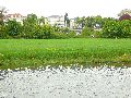 Elbfahrt mit dem Raddampfer Leipzig, und einem Kapitel Waldschlösschen Brückenbaustelle