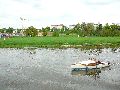 Elbfahrt mit dem Raddampfer Leipzig, und einem Kapitel Waldschlösschen Brückenbaustelle