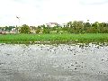 Elbfahrt mit dem Raddampfer Leipzig, und einem Kapitel Waldschlösschen Brückenbaustelle