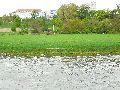 Elbfahrt mit dem Raddampfer Leipzig, und einem Kapitel Waldschlösschen Brückenbaustelle