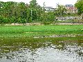 Elbfahrt mit dem Raddampfer Leipzig, und einem Kapitel Waldschlösschen Brückenbaustelle