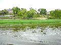 Elbfahrt mit dem Raddampfer Leipzig, und einem Kapitel Waldschlösschen Brückenbaustelle