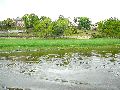 Elbfahrt mit dem Raddampfer Leipzig, und einem Kapitel Waldschlösschen Brückenbaustelle