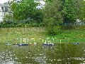 Elbfahrt mit dem Raddampfer Leipzig, und einem Kapitel Waldschlösschen Brückenbaustelle