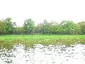 Elbfahrt mit dem Raddampfer Leipzig, und einem Kapitel Waldschlösschen Brückenbaustelle