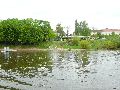 Elbfahrt mit dem Raddampfer Leipzig, und einem Kapitel Waldschlösschen Brückenbaustelle