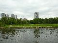 Elbfahrt mit dem Raddampfer Leipzig, und einem Kapitel Waldschlösschen Brückenbaustelle