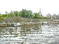Elbfahrt mit dem Raddampfer Leipzig, und einem Kapitel Waldschlösschen Brückenbaustelle