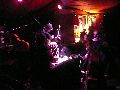Platzmusik auf dem Freiraum Elbtal