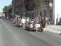 Bunte Republik Neustadt 2011-589 Augenblicke