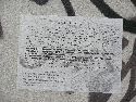 Bunte Republik Neustadt 2011-589 Augenblicke