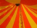 Bunte Republik Neustadt 2011-589 Augenblicke